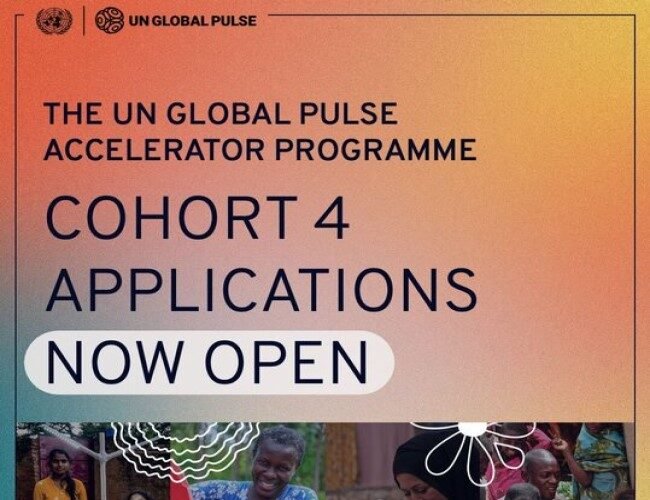 UN Global Pulse Scale Accelerator