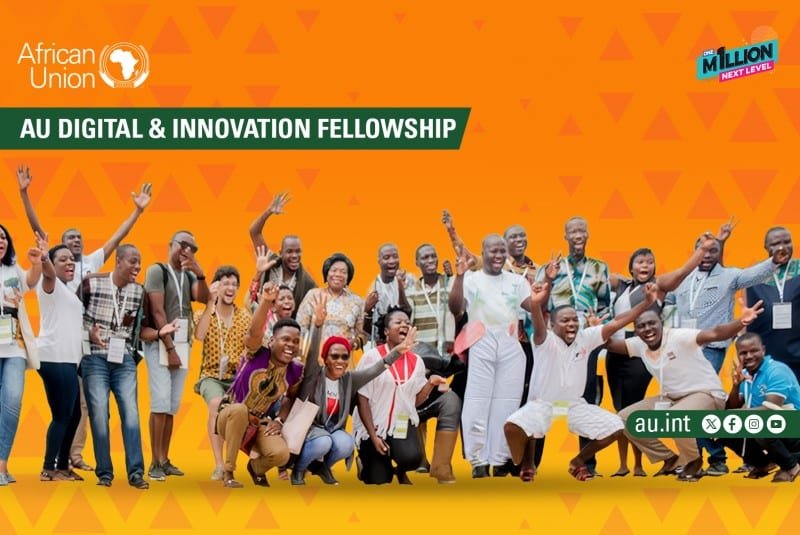 AU Digital & Innovation Fellowship Program