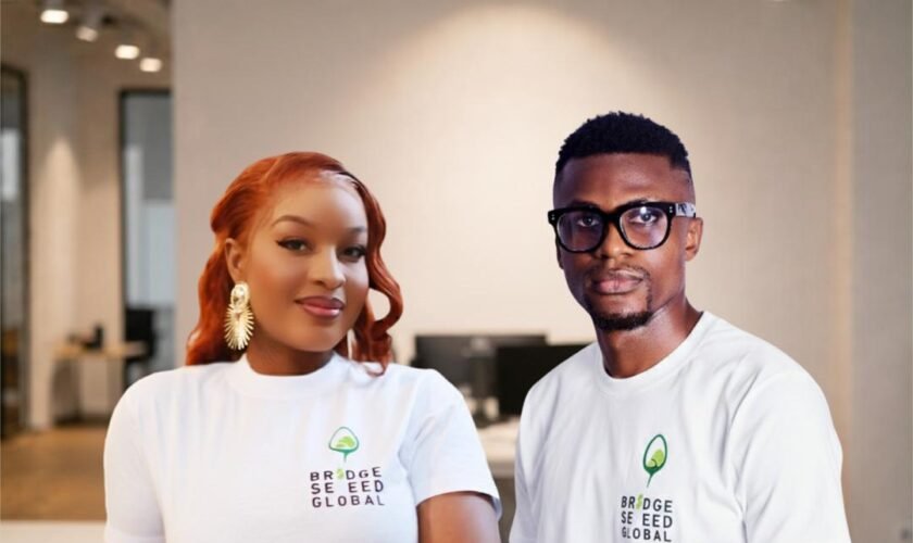 Bridge Seed Global Impact Accelerator