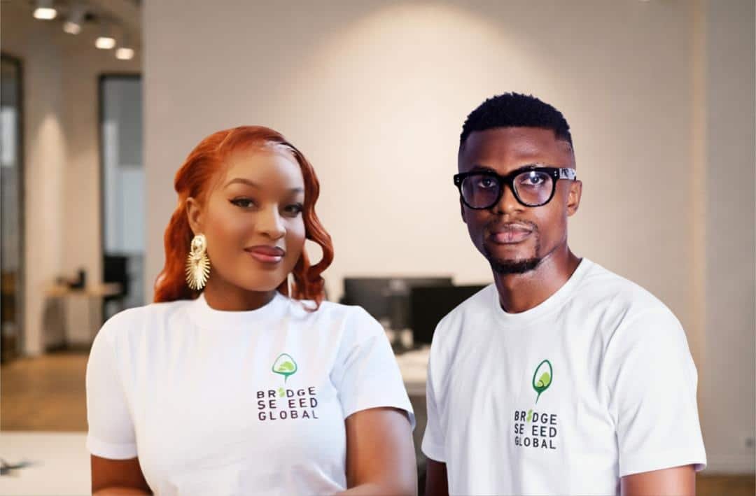 Bridge Seed Global Impact Accelerator