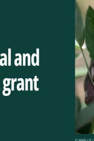 Environmental and social impact grant