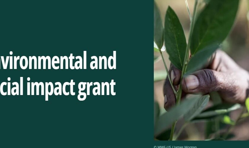 Environmental and social impact grant