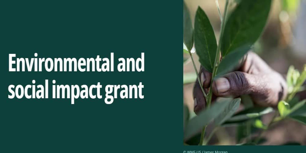 Environmental and social impact grant