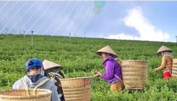 M4D Open Innovation Challenge