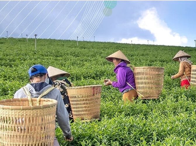 M4D Open Innovation Challenge