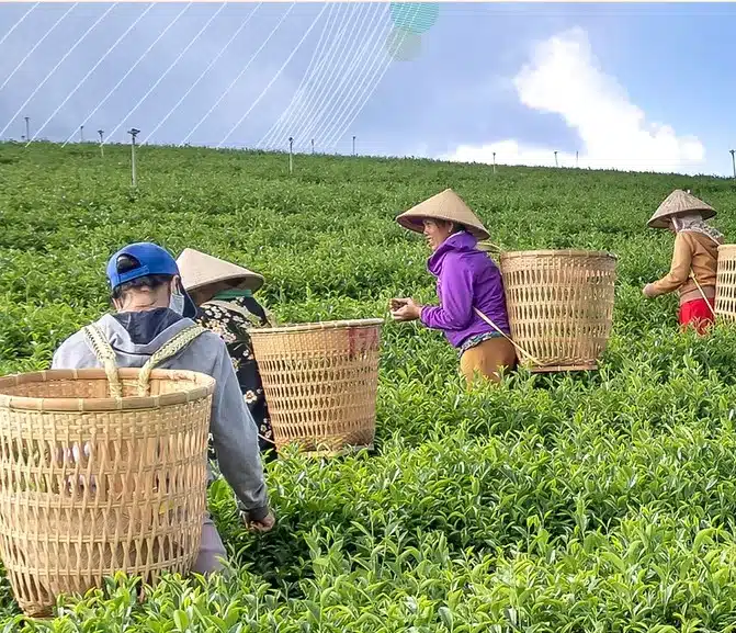 M4D Open Innovation Challenge