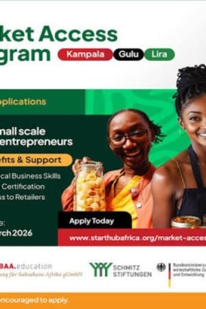 StartHub Africa Market Access Program