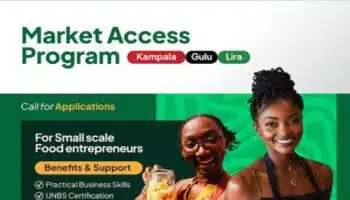 StartHub Africa Market Access Program