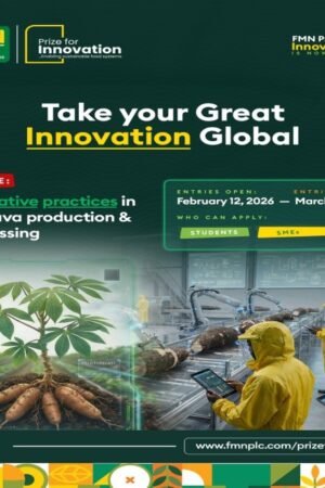 FMN Prize for Innovation