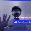 AI Sandbox Seed Grant