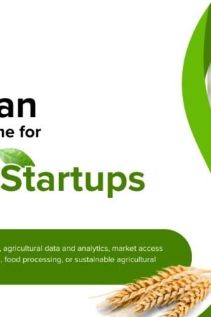 UNDP timbuktoo Pan-African Incubation Programme