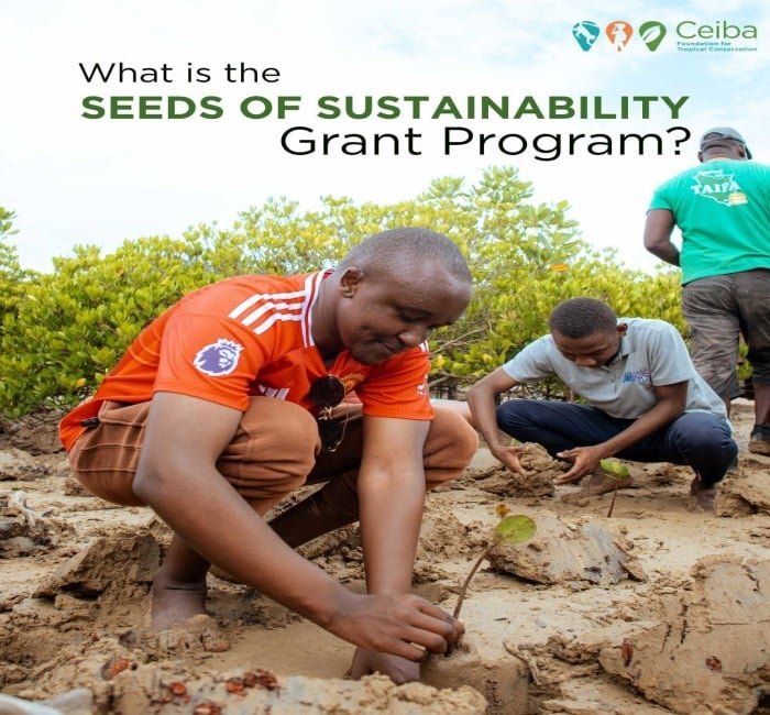 Seeds of Sustainability Grants