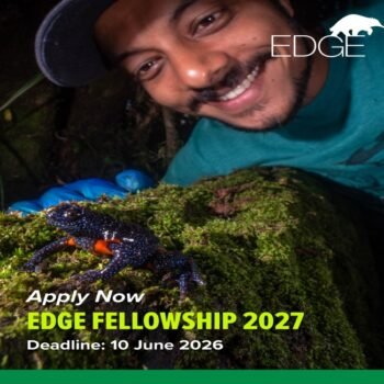 EDGE Fellowship