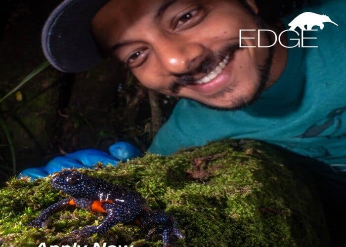 EDGE Fellowship