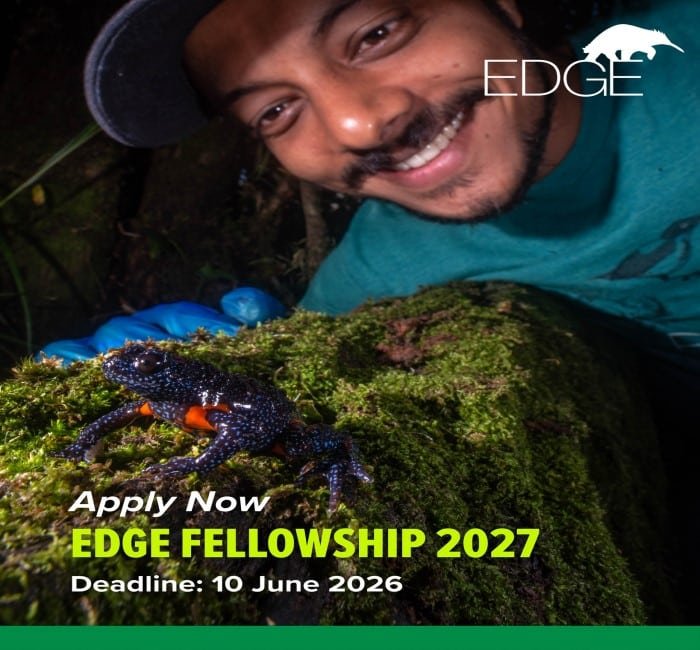 EDGE Fellowship