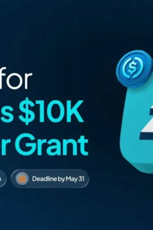 Breet Fintech Builder Grant