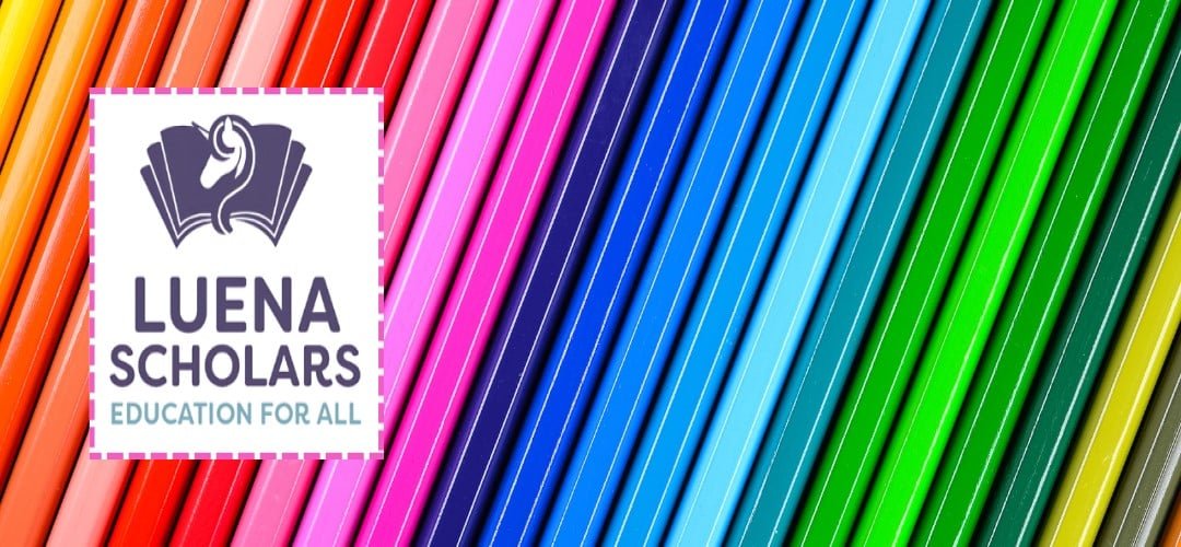 Luena Scholars Grants