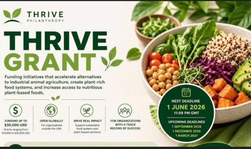 Thrive Grant