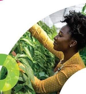 WIPO Women Agripreneurs IP Mentorship Scheme