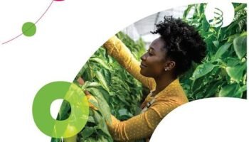 WIPO Women Agripreneurs IP Mentorship Scheme