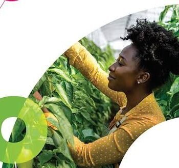 WIPO Women Agripreneurs IP Mentorship Scheme