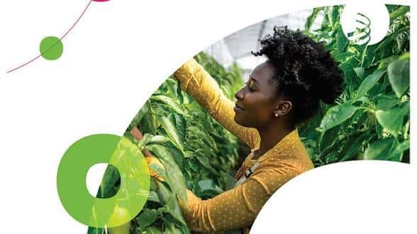 WIPO Women Agripreneurs IP Mentorship Scheme
