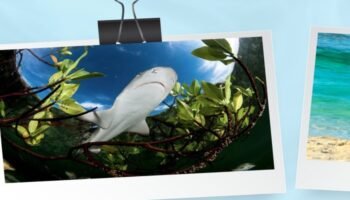 Commonwealth Youth Photography Competition