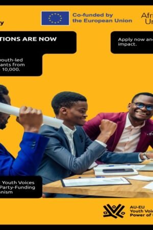 Youth Voices Third-Party Funding Mechanism