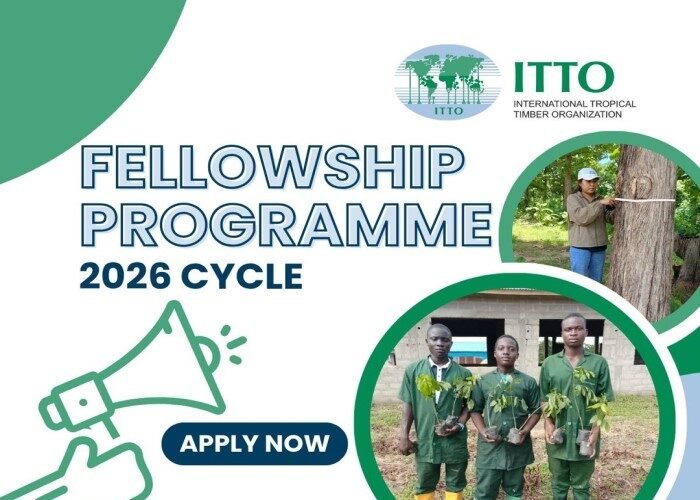 ITTO Fellowship Programme