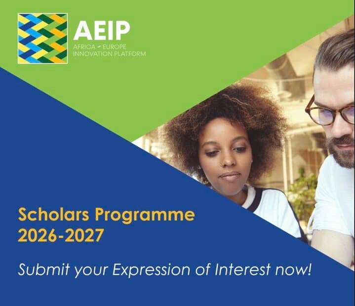 AEIP Scholars Programme