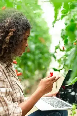 USDA AFRI Education and Workforce Development Grants