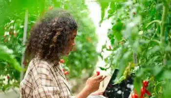USDA AFRI Education and Workforce Development Grants