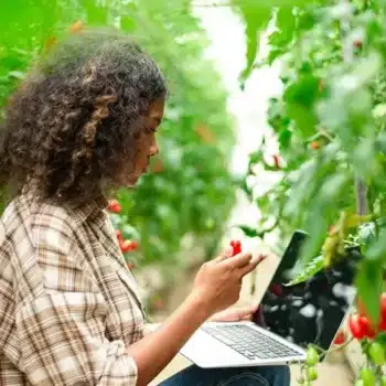 USDA AFRI Education and Workforce Development Grants