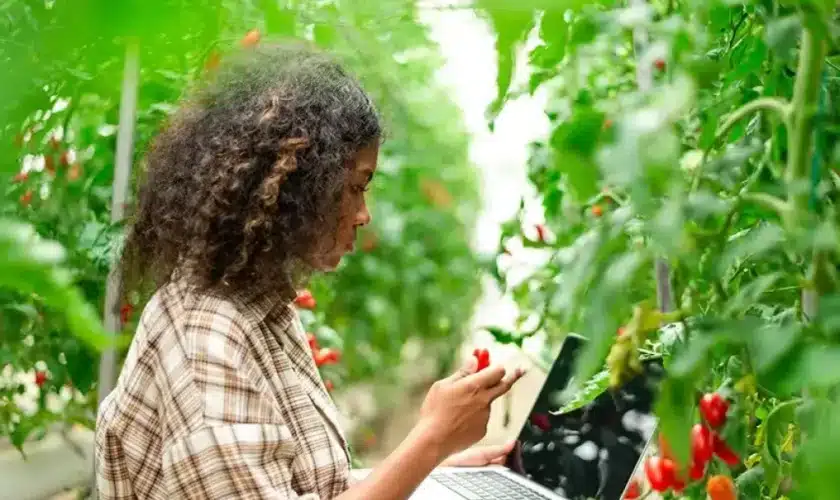 USDA AFRI Education and Workforce Development Grants