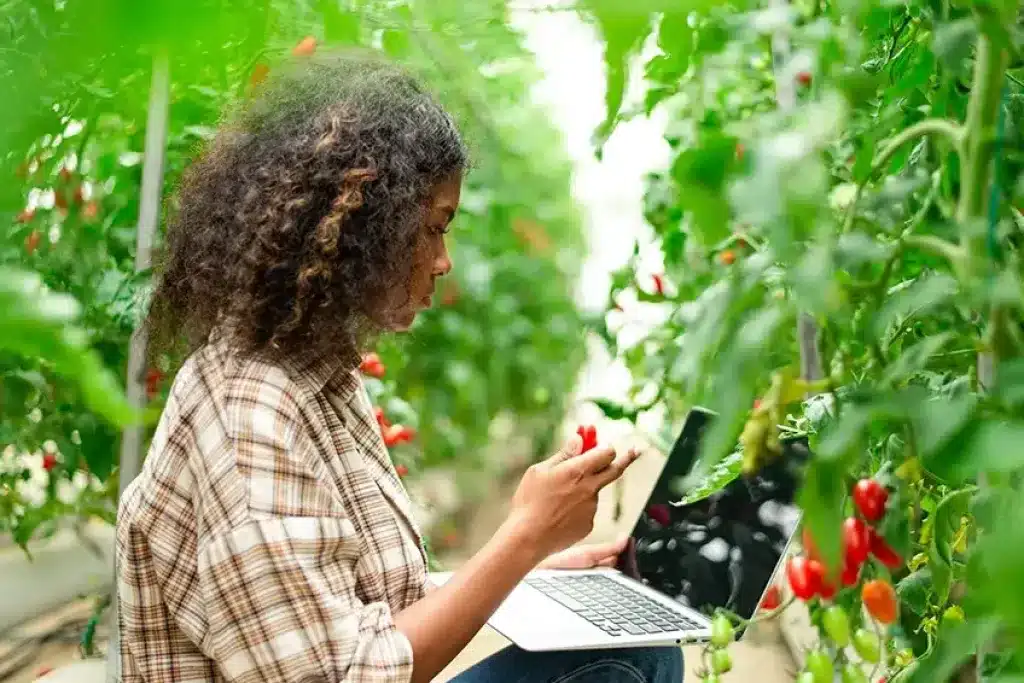 USDA AFRI Education and Workforce Development Grants