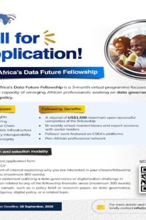Africa's Data Future Fellowship