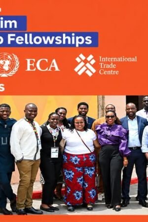 Mo Ibrahim Foundation Leadership Fellowship