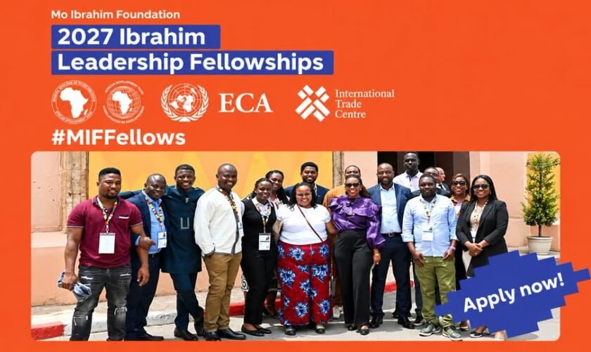Mo Ibrahim Foundation Leadership Fellowship