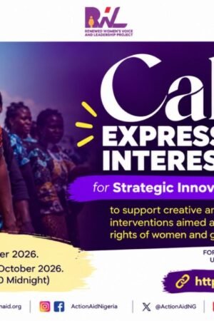 ActionAid Nigeria Strategic Innovation Fund