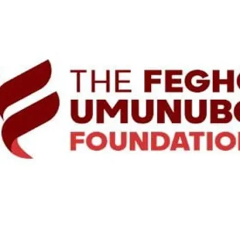 Fegho Umunubo Foundation Creative Business Grant