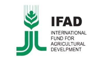 IFAD Food Systems Transformation