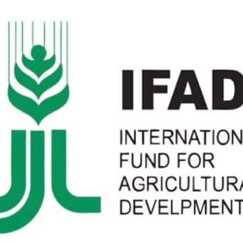 IFAD Food Systems Transformation
