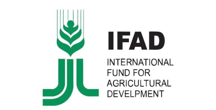 IFAD Food Systems Transformation