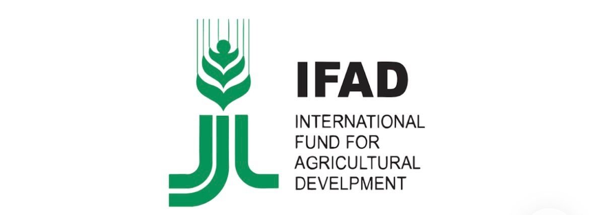 IFAD Food Systems Transformation