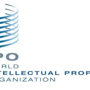 The World Intellectual Property Organization (WIPO)