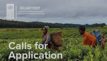 UNDP ECoWYERT Program