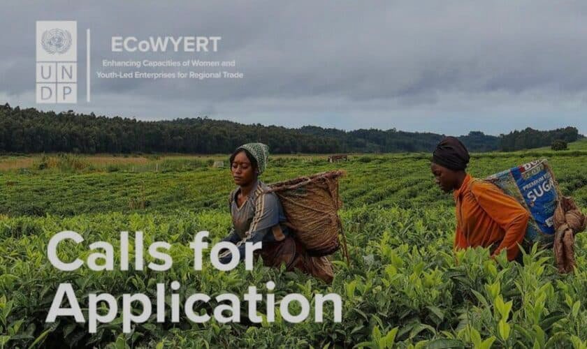 UNDP ECoWYERT Program