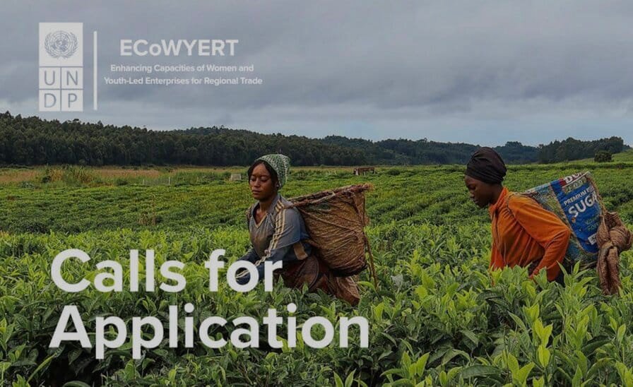 UNDP ECoWYERT Program
